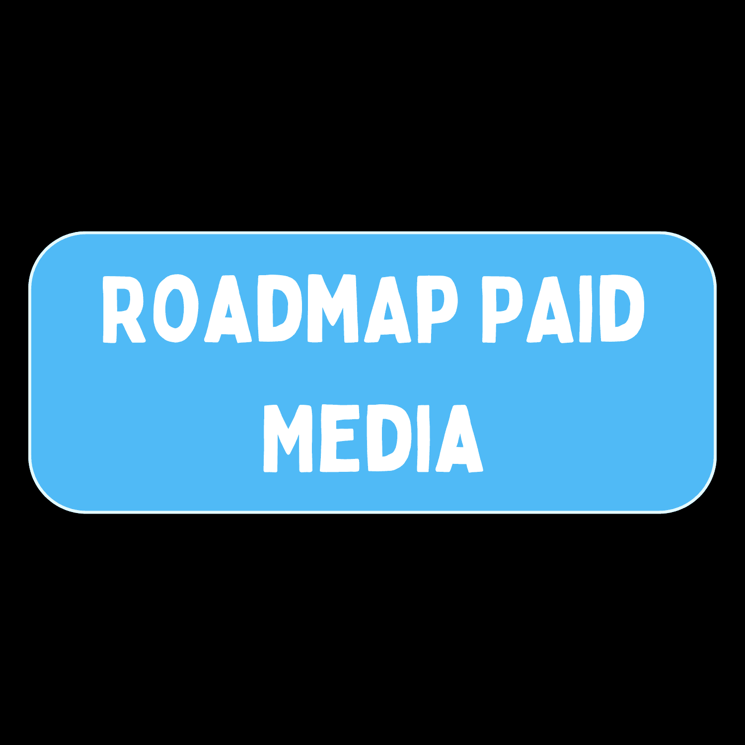 Roadmap Paid Media & Stratégie long terme