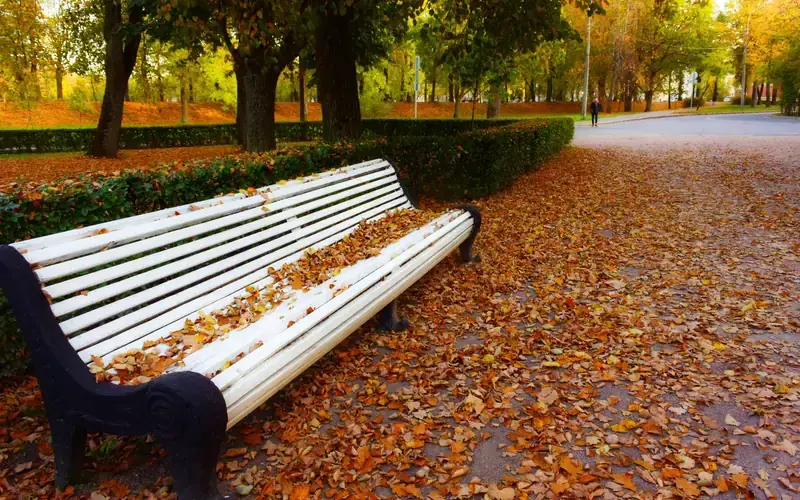 Banc blanc dans un parc en automne