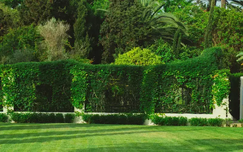 Jardin aux haies taillées et pelouse entretenue